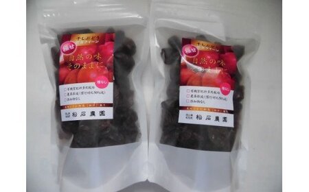 yy-24　安芸クイーン干しぶどうビッグセット 