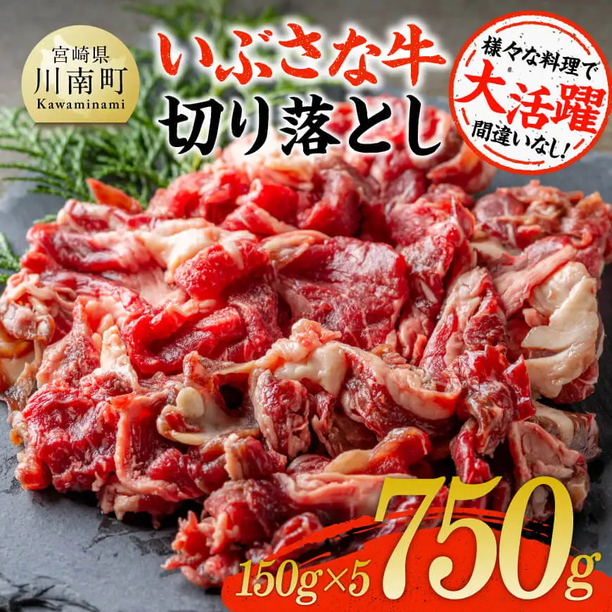 いぶさな牛切り落とし750g（150g×5パック） 【 宮崎県産 牛 切り落とし 黒毛和牛 】