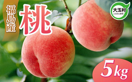 桃 先行予約 5kg 桃 桃 桃