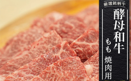 牛肉 あだたら酵母牛（焼肉用） 500g 牛肉 牛肉 牛肉