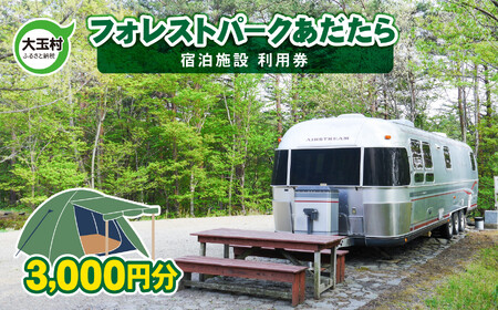 キャンプ フォレストパーク あだたら 利用券 3,000円分 （3,000円分×1枚） キャンプ