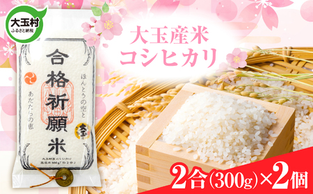合格祈願米 コシヒカリ 真空米 2合 ( 300g ) × 2個 【令和7年産】 受験 御利益 ご祈祷 合格 合格祈願 小分け 使い切り 5000円 ５０００円以下 福島県 大玉村