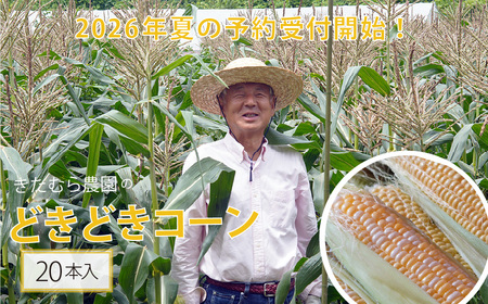 【2026年夏の予約受付開始！】きたむら農園『どきどきコーン』×20本セット（約8～8.5kg相当）信濃町名産とうもろこし／スイートコーンの新定番品種　令和8年7月下旬出荷開始予定！【長野県信濃町ふるさと納税】