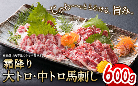 大トロ中トロ馬刺し盛り 600g 長洲町L（桜屋）《30日以内に出荷予定(土日祝除く)》馬刺し 熊本 長洲町 大トロ 中トロ 食べ比べ 馬肉 霜降り