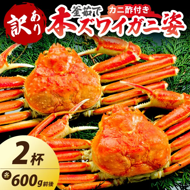 【大好評！カニ酢付き】訳あり！釜茹で！本ずわいがに姿 600g×2杯 カニ