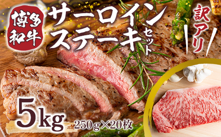 訳アリ!【A4～A5】博多和牛サーロインステーキ　5kg(250g2枚入り×10パック)　AO028