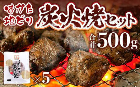 はかた地どり炭火焼セット500g(100g×5p)　AO043