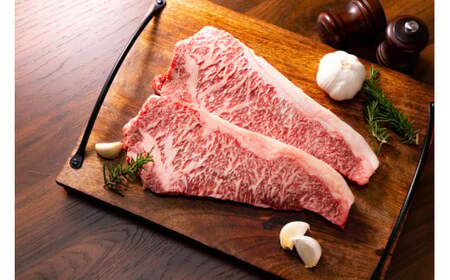【毎月定期便】【A4～A5】博多和牛サーロインステーキ500g (250g×2枚) 全12回　AO076