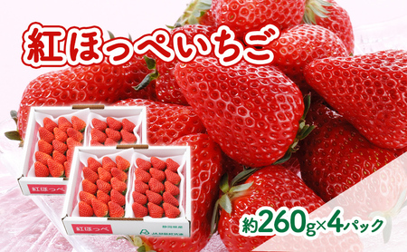 【2027年1月中旬より順次発送】紅ほっぺいちご 約260g×4パック【配送不可：離島】 