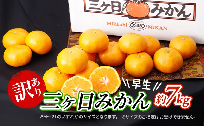 訳あり 三ヶ日みかん 早生 7kg 蜜柑 ミカン 果物 くだもの フルーツ 浜松