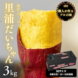 【予約受付中・2026年10月下旬頃より順次発送】鳴門産 さつまいも 『 里浦だいちゃん 』 3kg | なると金時 甘い ホクホク スイーツ 焼き芋 干し芋 天ぷら サラダ けんぴ きんつば