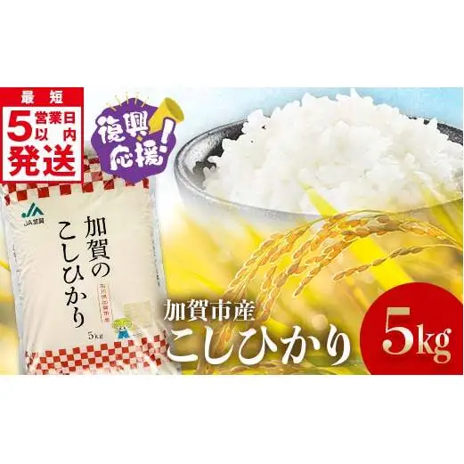 【最短5営業日発送】復興応援米 令和7年産こしひかり 5kg 精米 銘柄米 お米 米 ギフト 贈り物 グルメ 食品 復興 震災 コロナ 能登半島地震 復興支援 北陸新幹線 F6P-3206