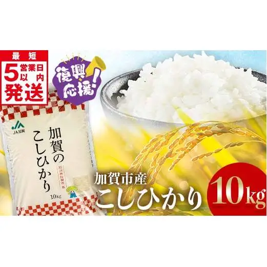 【最短5営業日発送】復興応援米 令和7年産こしひかり 10kg(5kg×2袋) 精米 銘柄米 お米 米 ギフト 贈り物 グルメ 食品 復興 震災 コロナ 能登半島地震 復興支援 北陸新幹線 F6P-3207