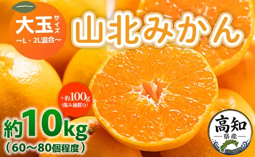 フルーツ 山北みかん 大玉サイズ(L,2Lサイズ) 10kg 約60～80個入り フルーツ yk-0065