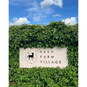 保護馬支援【返礼品なし】