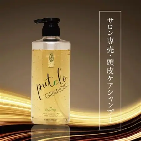 プテロ　ARシャンプー　グランディール　700ml_美容 シャンプー・リンス  _【1516155】