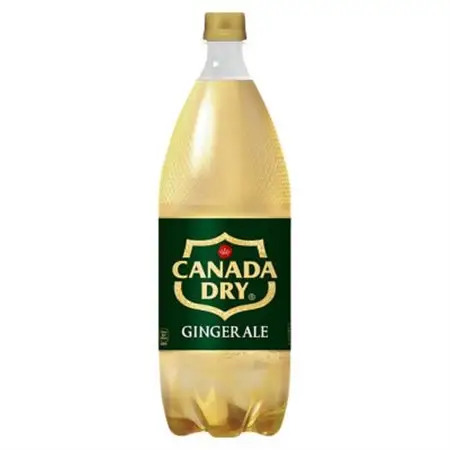 カナダドライジンジャーエール1.5LPET(6本入り)_飲料・ドリンク 炭酸飲料 ジュース _【1518352】