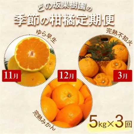 【発送月固定定期便】どの坂果樹園自慢の柑橘定期便(ゆら早生・完熟みかん・不知火)　各約5kg全3回【配送不可地域：離島・北海道・沖縄県】【4052457】