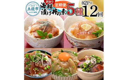 【12回定期便】訳あり土佐の海鮮漬け丼（5種×各2袋）セット 漬け丼の素 タイ 鯛 ブリ 鰤 マグロ 鮪 イカ カツオ 鰹 たたき 新鮮 魚 おかず おつまみ 惣菜 小分け【企業組合　宇佐もん工房】 [BQAB016]