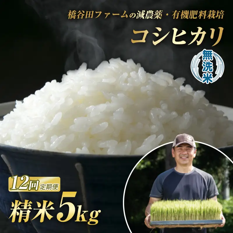 《定期便12ヶ月》減農薬・有機肥料栽培 西会津産米コシヒカリ 無洗米 5kg F4D-2486