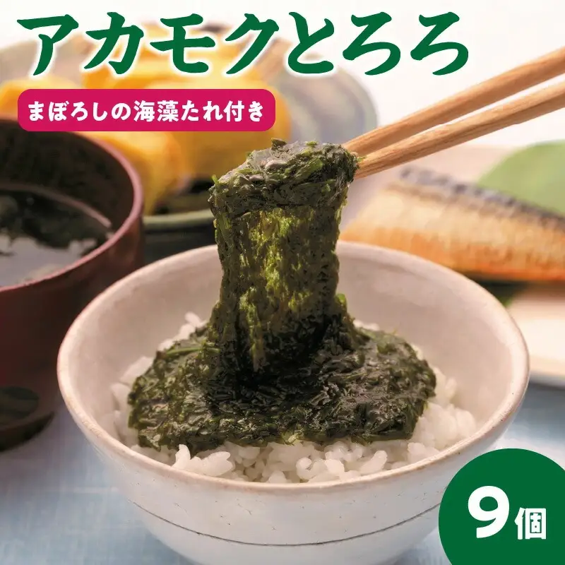 【定期便6回】今話題の海藻！フコダインたっぷり「アカモクとろろ」（まぼろしの海藻たれ付き）セット_U19-T011_6