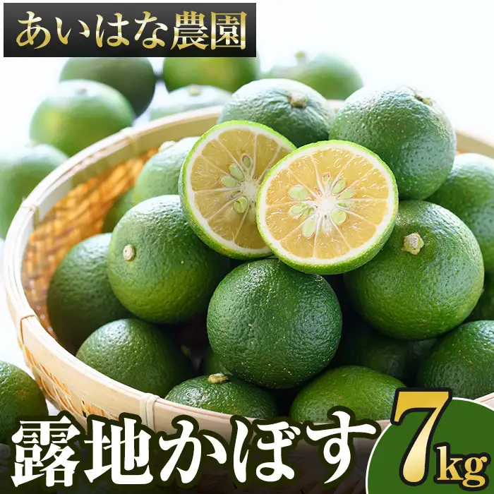 ＜先行予約受付中！2026年8月上旬以降順次発送予定＞露地カボス(約7kg)かぼす カボス 柑橘 特産品 大分県産【107100603】【あいはな農園】