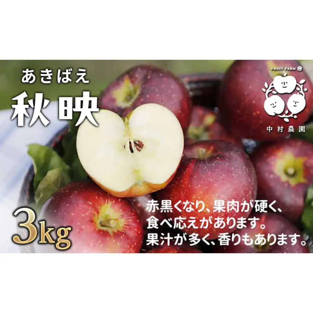 【10月上旬発送 先行予約】樹上熟成　秋映 3kg | りんご 秋映 りんご