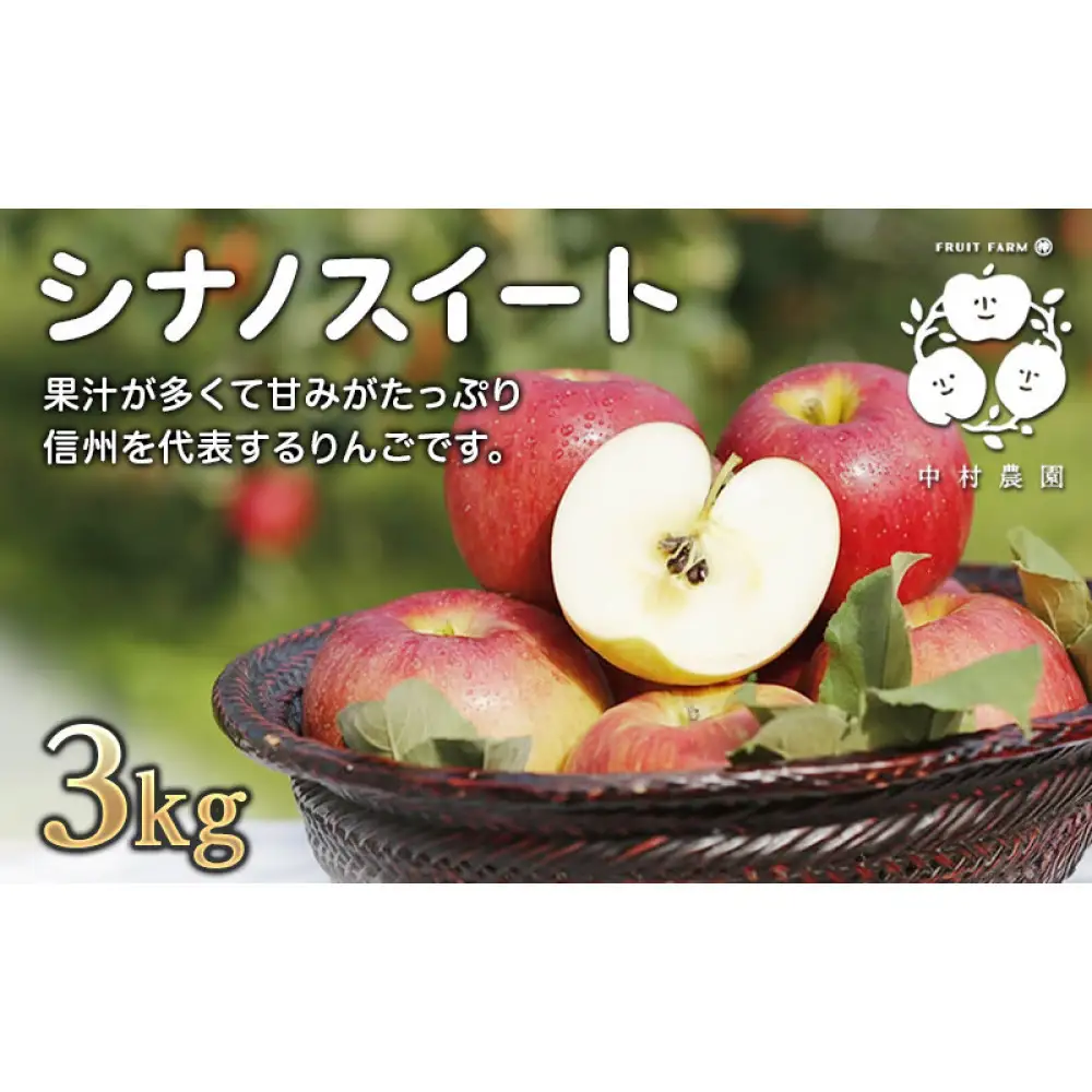 【10月中旬発送 先行予約】樹上熟成　シナノスイート 3kg | りんご シナノスイート りんご