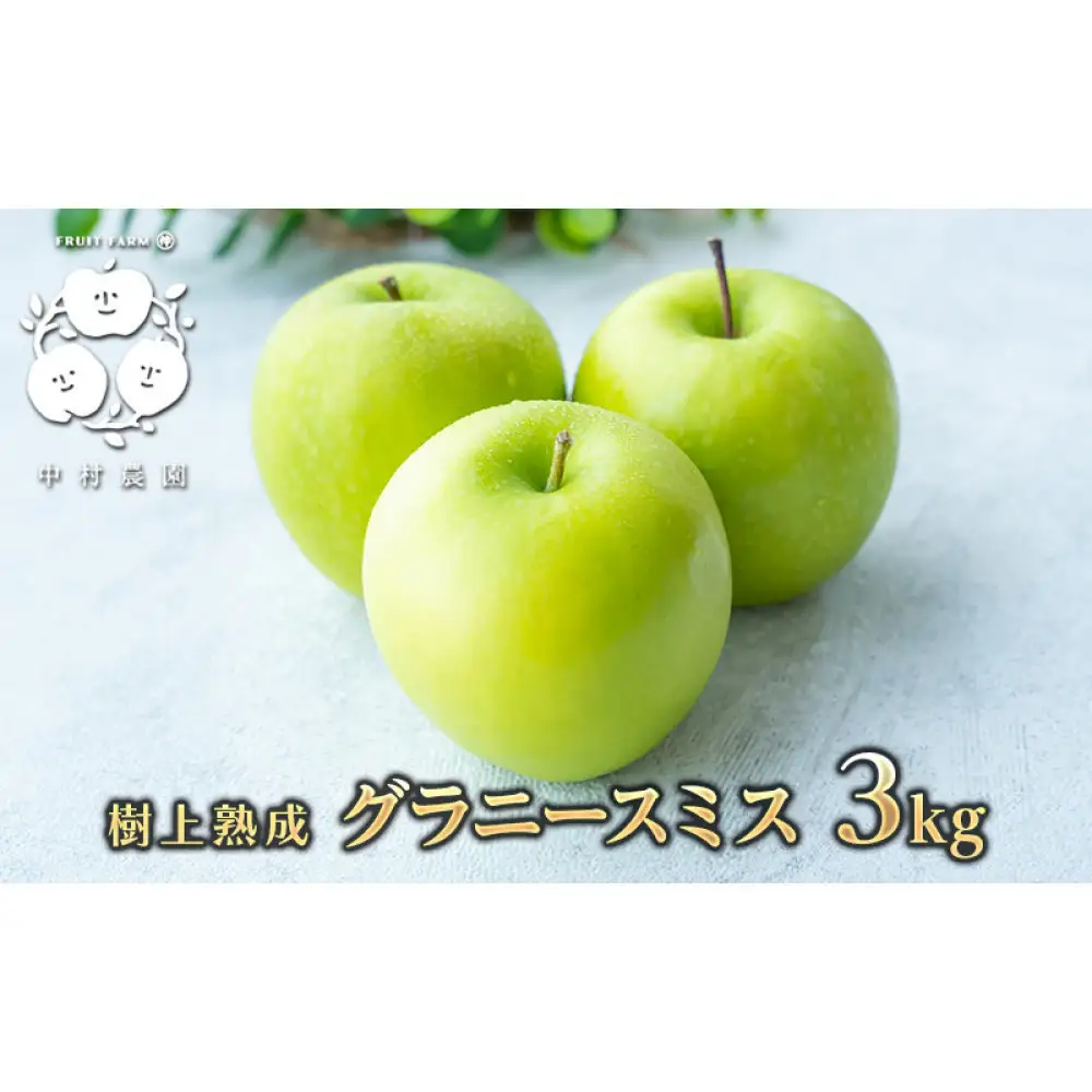 【10月下旬発送 先行予約】樹上熟成　グラニースミス 3kg | りんご グラニースミス 青りんご 加工用
