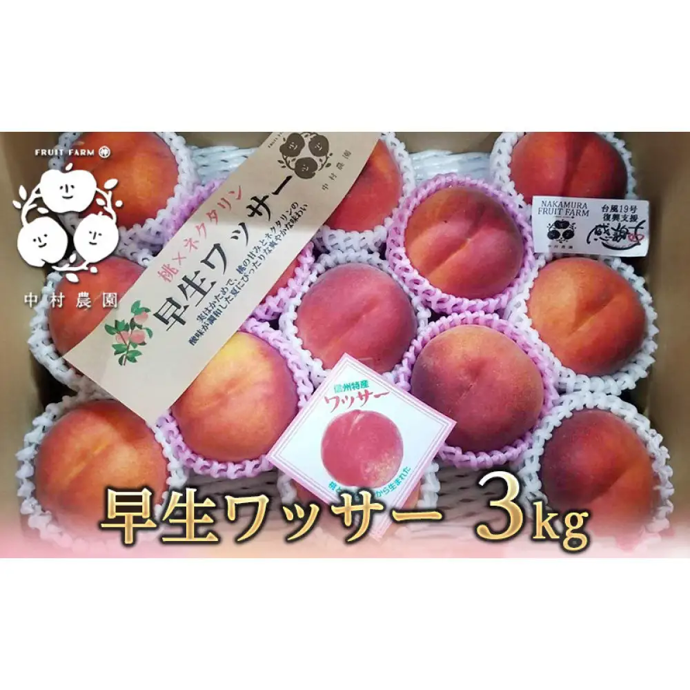 【7月中旬発送 先行予約】早生ワッサー 3kg | ワッサー 桃 希少品種 ネクタリン