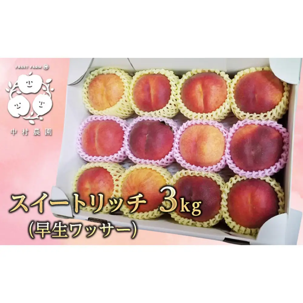 【8月上旬発送 先行予約】スイートリッチ 3kg(中生ワッサー） | ワッサー 桃 希少品種 ネクタリン