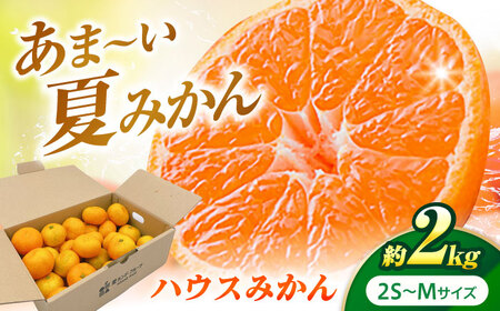 ハウスみかん 2kg フルーツ 果物 みかん BJBI001