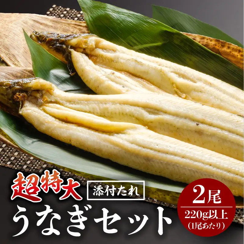 うなぎ 白焼き うなぎ[国産 2尾]