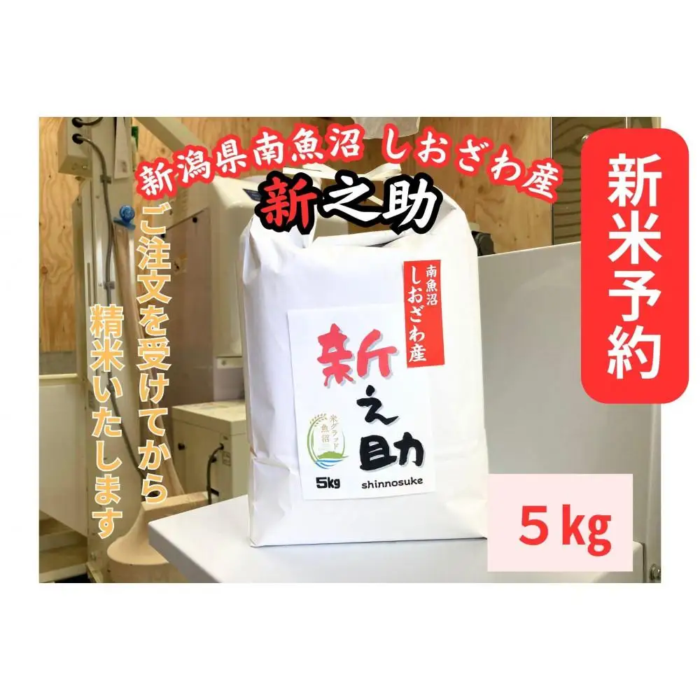 【令和8年産・新米予約】新潟県南魚沼産　新之助　5kg　大粒でツヤがあるこれまでにないお米【銘柄米 ブランド米 精米 新之助 魚沼産 新潟米 産地直送 お米 米 こめ コメ】【2026年10月中旬より1ヶ月以内に順次発送予定】