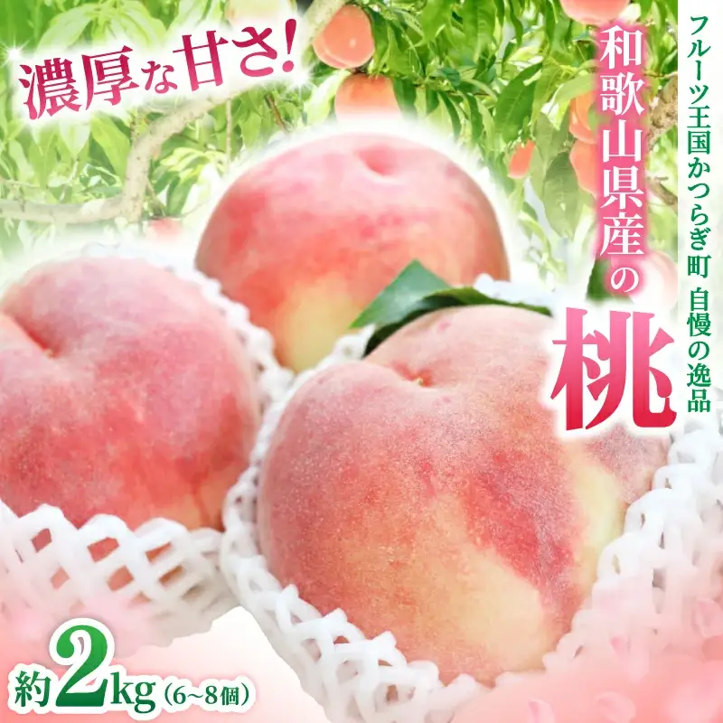 和歌山県産の桃 約2kg（6~8個）【2026年7月上旬～8月上旬発送】 [Ei1]【BJ001-eiw012】