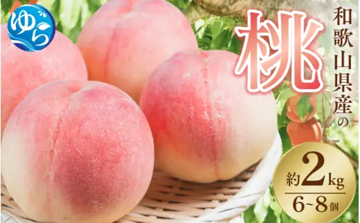 【先行予約】和歌山県産の 桃 6～8個(2kg) / もも モモ 甘い フルーツ 果物 くだもの 厳選 ※2026年7月上旬～8月上旬発送 ※北海道・沖縄・離島配送不可 【eiw501-momo-2】
