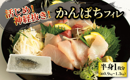 活じめ！神経抜き！かんぱちフィレ1尾分（約1.8～2.6㎏）| 刺身 さしみ お刺身 刺身 さしみ お刺身 刺身 さしみ お刺身 魚介 海の幸 冷蔵 かんぱち カンパチ 勘八 愛媛県 松山市【KHN0092】