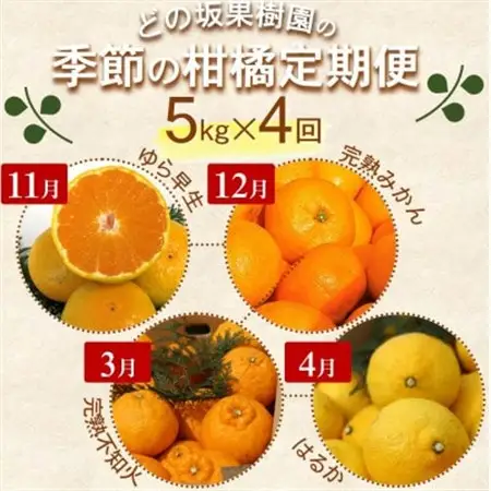 【発送月固定定期便】季節の柑橘定期便(ゆら早生みかん・完熟みかん・不知火・はるかみかん)全4回【配送不可地域：離島・北海道・沖縄県】【4052675】
