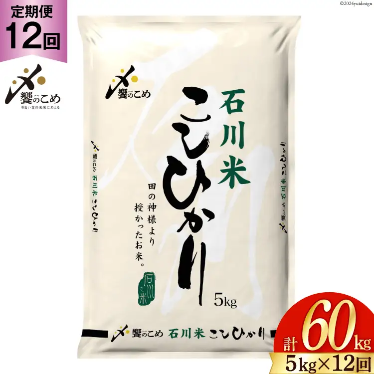 米 定期便 石川米 こしひかり 5kg × 12回 [38600814] 米