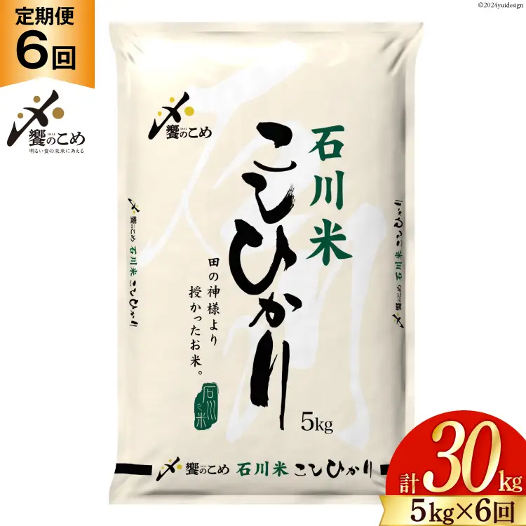 米 定期便 石川米 こしひかり 5kg × 6回 [38601131] 米