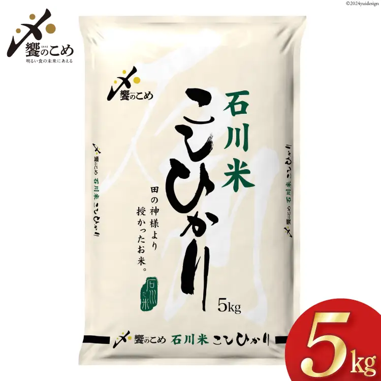 米 令和7年 石川米 こしひかり 5kg 白米 [38601197]