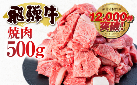 訳あり 飛騨牛 焼肉用 500g 訳あり [S811]
