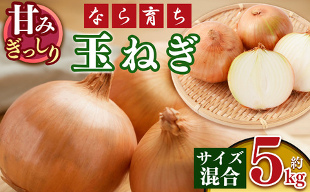 【なら育ち 益田農園】玉ねぎ約 5kg サイズ混合｜ヤサイ 野菜 ベジタブル 玉ねぎ オニオン 奈良県 五條市
