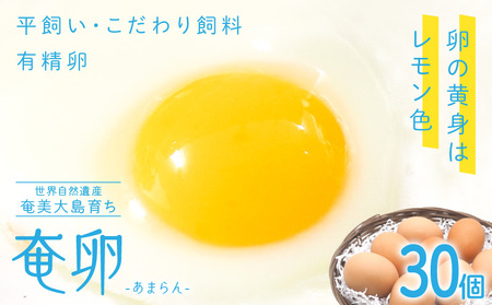 奄卵 （ あまらん ）～ 平飼い 有精卵 30個 A115-007 卵 たまご 養鶏 鶏 奄美ファーム ふるさと納税 奄美市 おすすめ ランキング プレゼント ギフト
