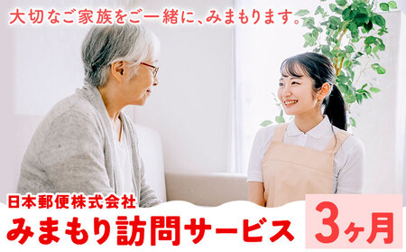 みまもり訪問サービス 3ヶ月(年3回) 日本郵便株式会社《90日以内に出荷予定(土日祝除く)》熊本県 菊池市 安否確認 見守り みまもり 家族 実家 親 訪問 安心 送料無料