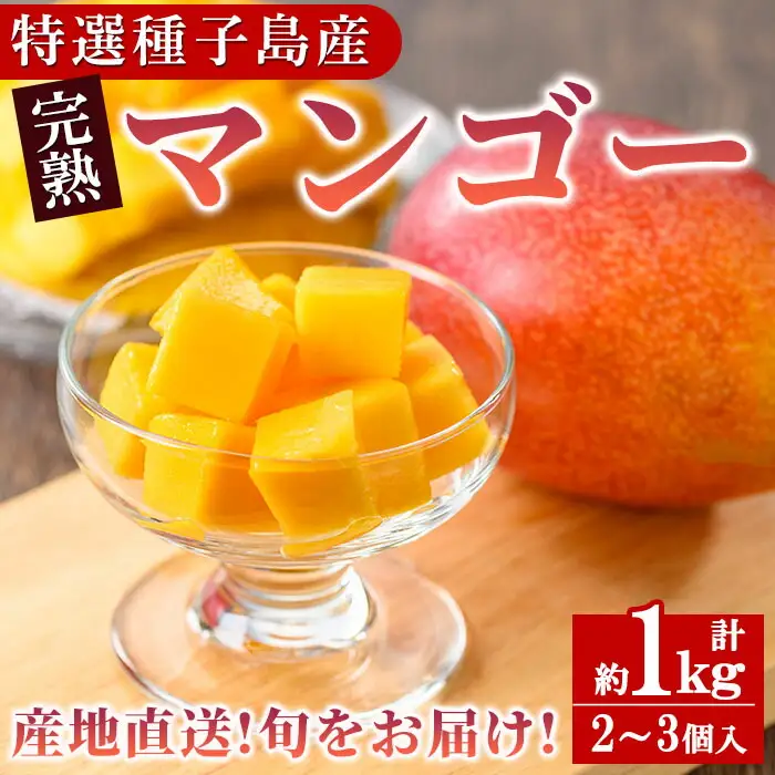 n257 ＜先行予約＞ マンゴー 1kg・2～3個入 鹿児島県 種子島産 完熟 果物 フルーツ 箱入り 冷蔵 【種子屋久農業協同組合】