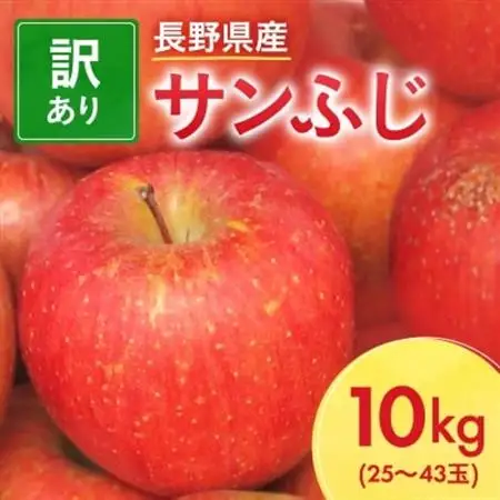 【先行受付】長野県産 サンふじ りんご 家庭用 訳あり 10kg(25～43玉)【1449710】