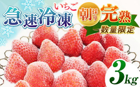 完熟・急速 冷凍いちご 3kg | 渡邉いちご園