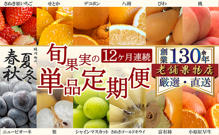 【12ヶ月連続定期便】綾川町の春夏秋冬！旬果実の単品定期便 
