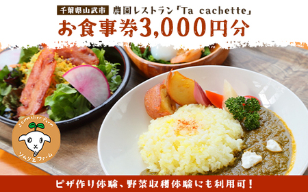 ピザ作り体験、野菜収穫体験にも利用可！ 農園レストラン「Ta cachette」お食事券3,000円分 ／ 体験 チケット 野菜 収獲 ピザ 利用券 千葉県 山武市 SMBP001